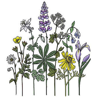 A Wildflowers Sticker