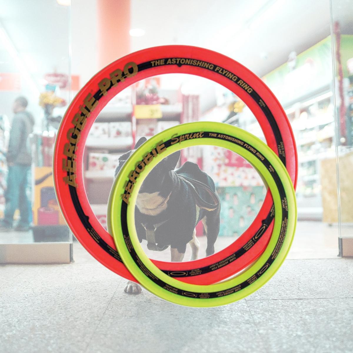 Picture of Aerobie 325964 13&quot; Superflight Aerobie Pro Ring - Assorted Colors