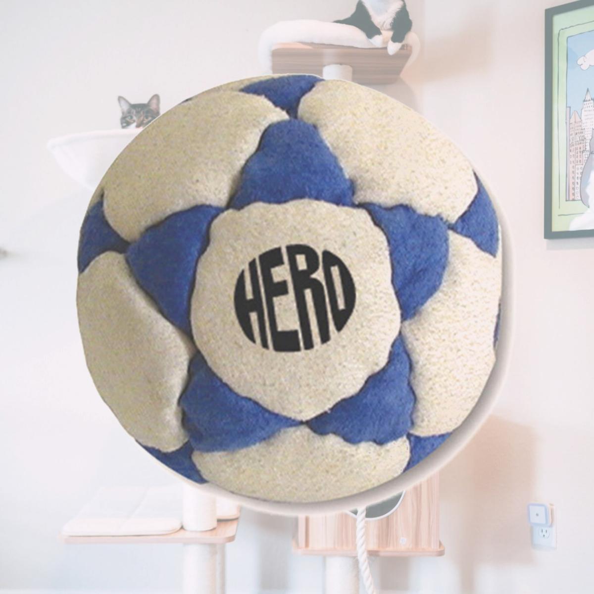 Picture of Adventure Trading 327008 Hero Hack Footbag Blister Pank
