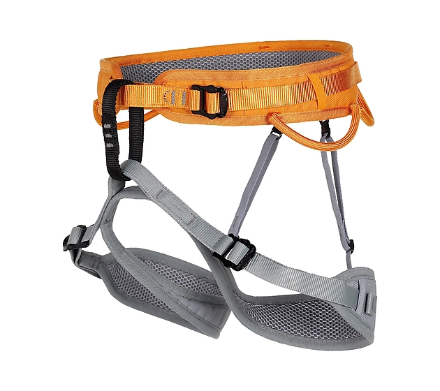 448486  Ray Harness