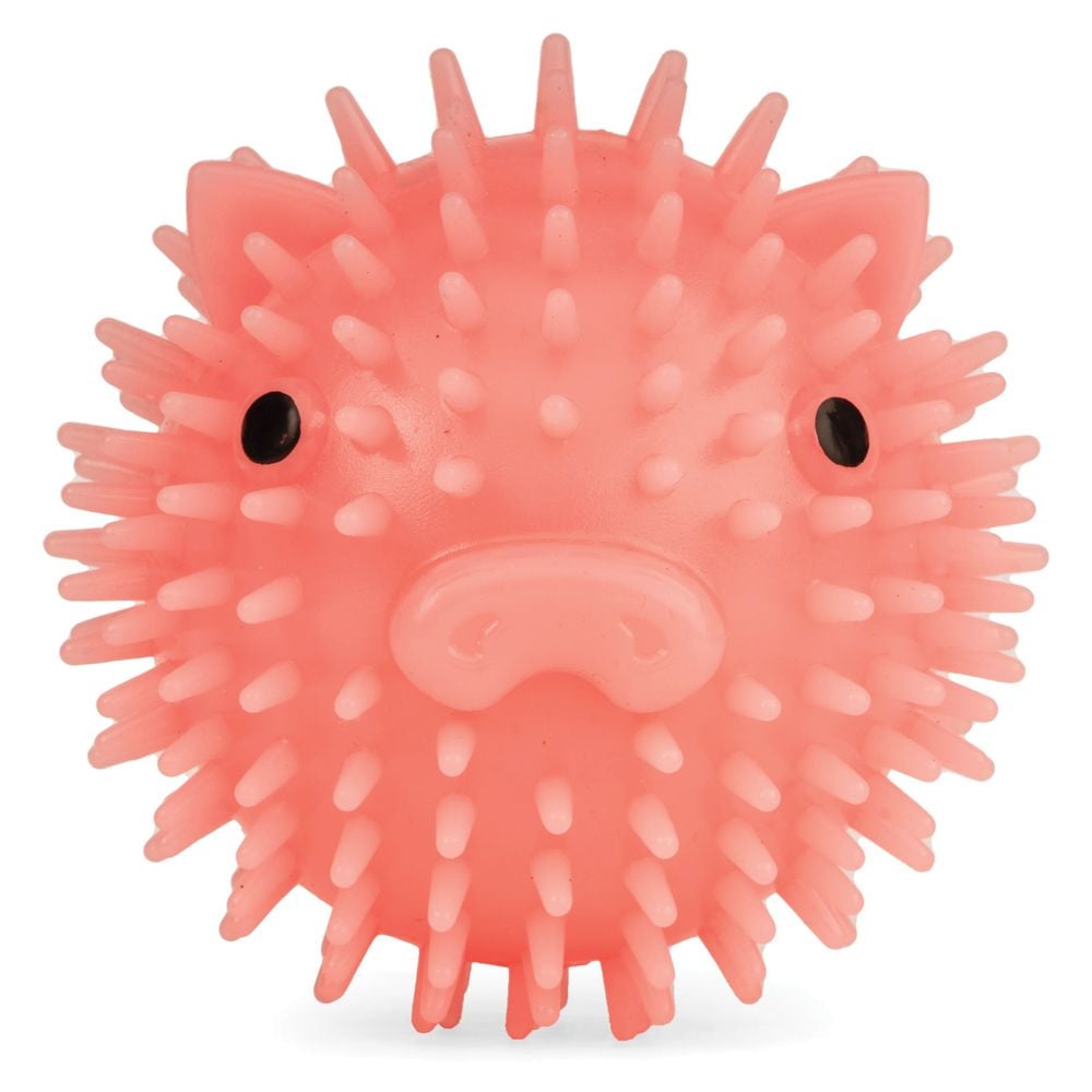 792571 Piggy Dog Ball