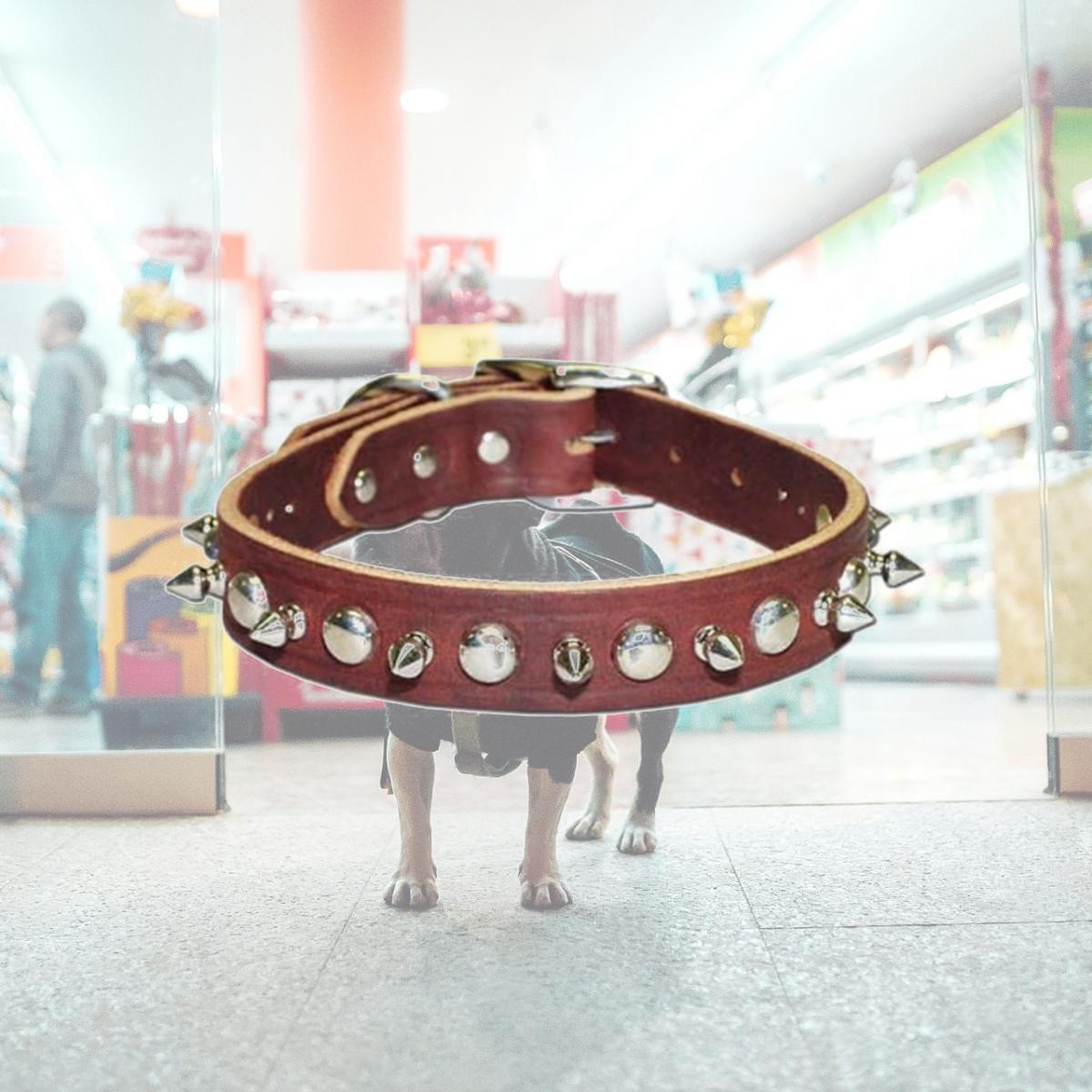 Picture of Leather Brothers Inc. 6079-BK14 Black Signature Leather Spike and Stud Dog Collar - Size 14
