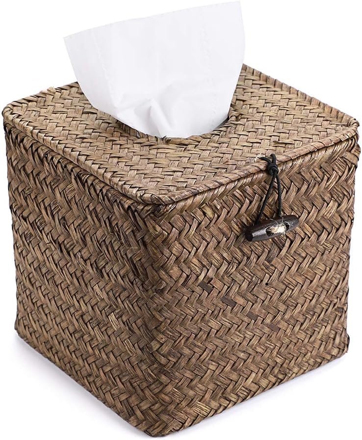LMTissue LMTissue Wi-Fi Camera