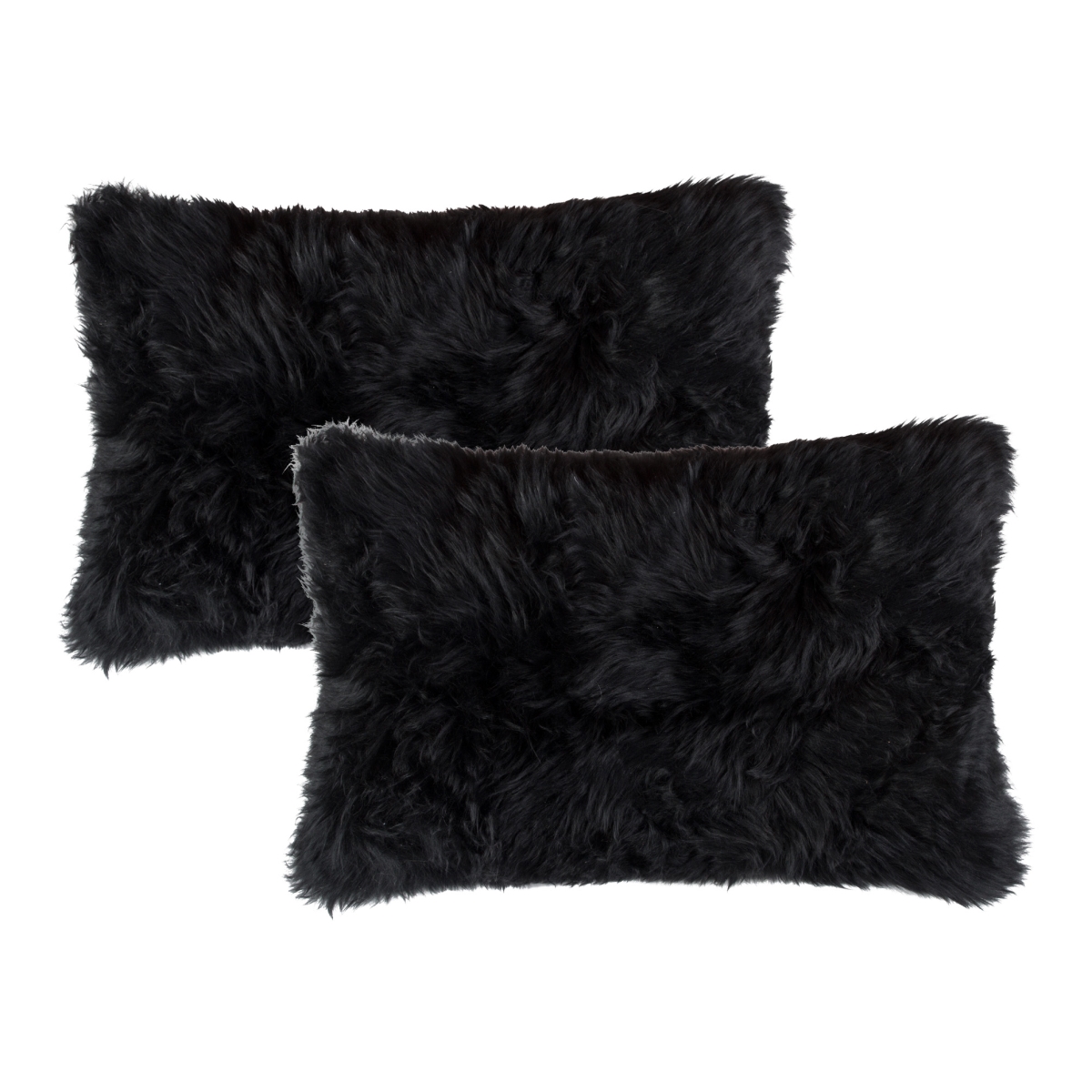 Home Decor Zealand Sheepskin Pillow | 2-Piece | Black | 12'x20'