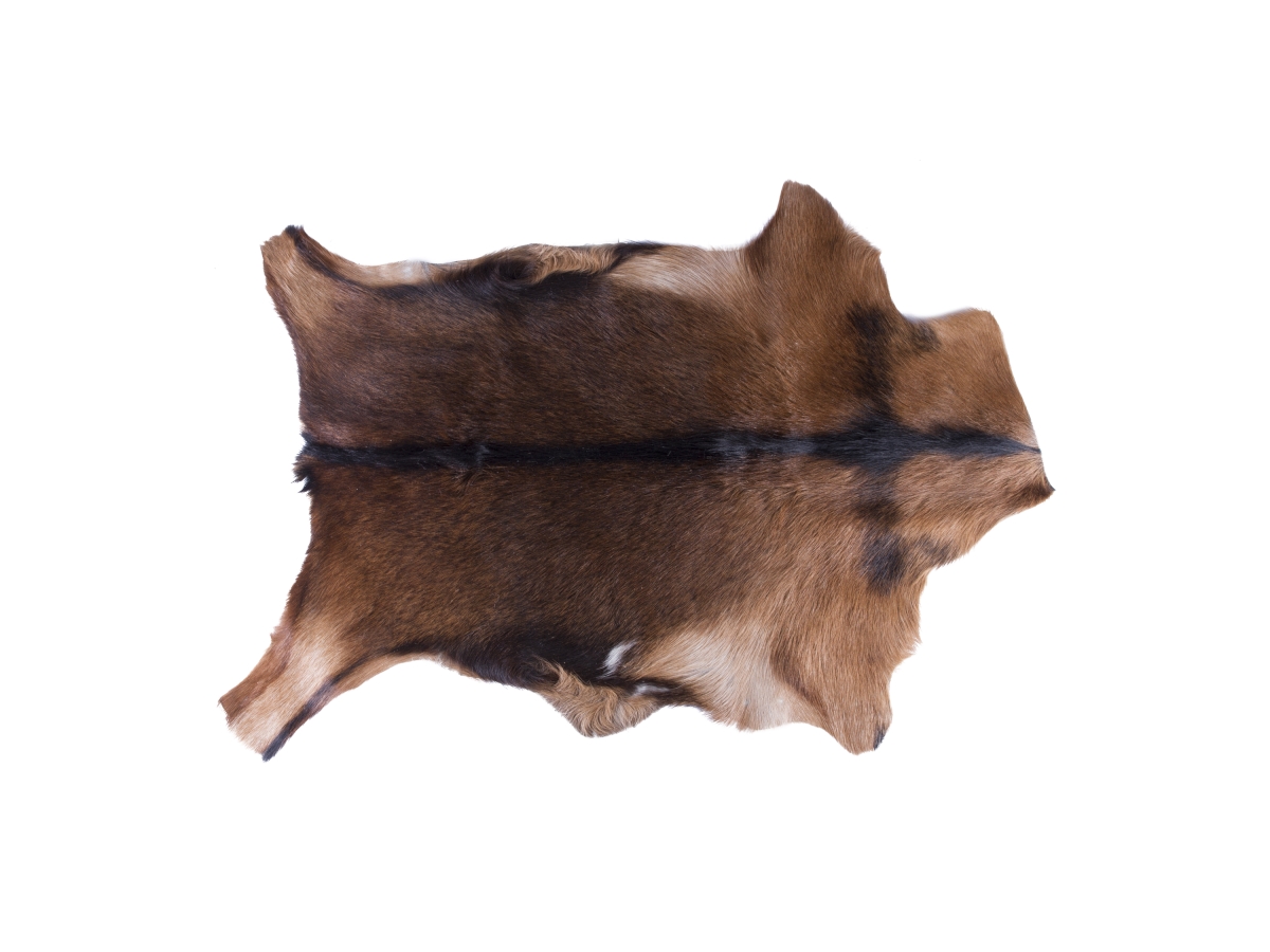 Home Decor 676685035387 Classic Calfskin Throw Rug, 1-Piece, Norman tan, 2"x3"