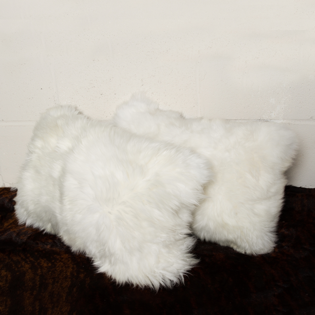 676685029393 12 x 20 in. New Zealand Sheepskin Pillow -  - Pack of 2