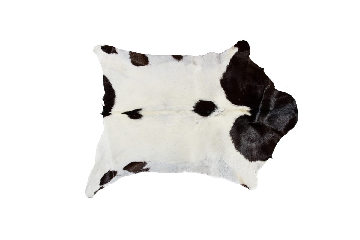 2 x 3 ft. Calfskin Rug - White & Chocolate