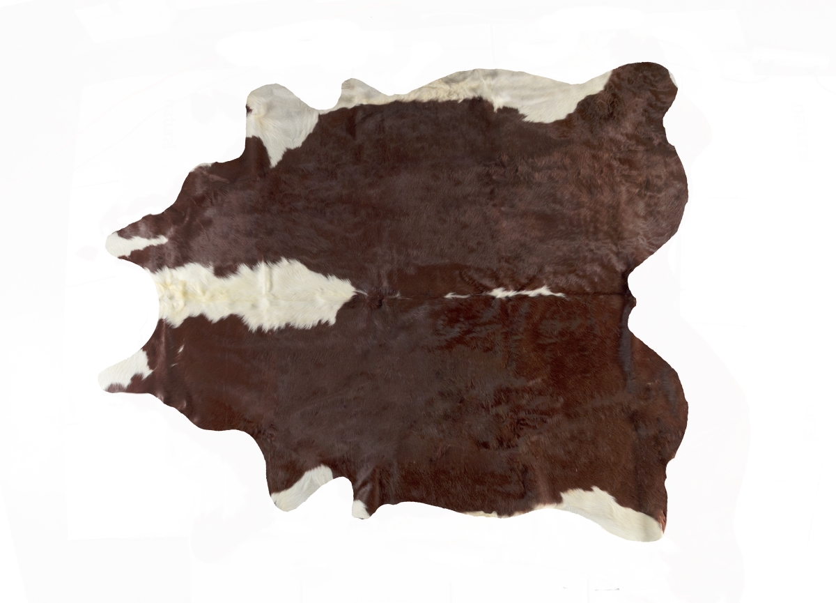 6 x 7 ft. Kobe Cowhide Rug - Brown & White
