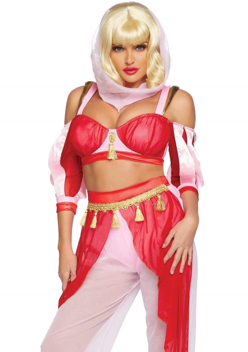 Picture of Leg Avenue 86859 06401 Dreamy Genie Costume&#44; Red & Pink - Small