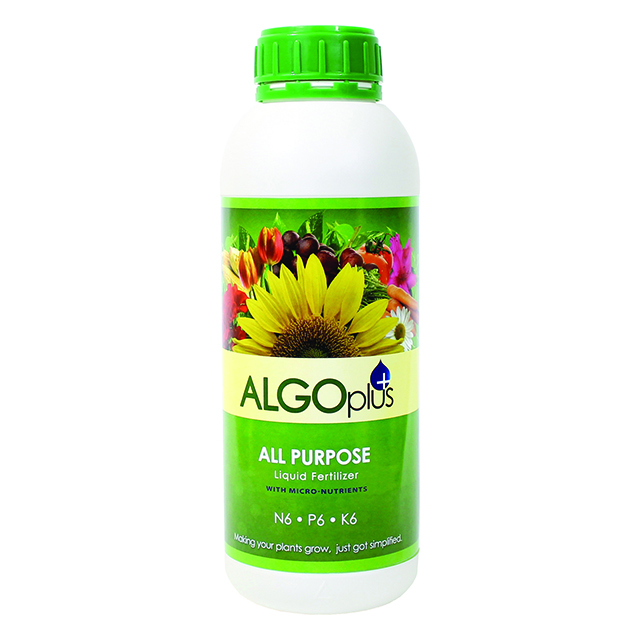 AlgoPlus AL328518