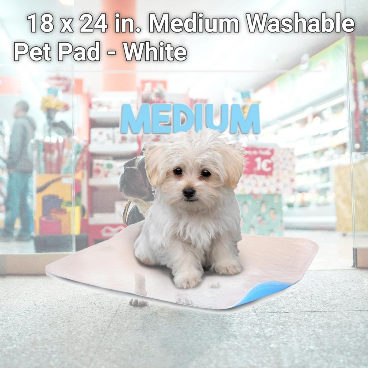 Picture of Lennypads 1824LP 18 x 24 in. Medium Washable Pet Pad - White