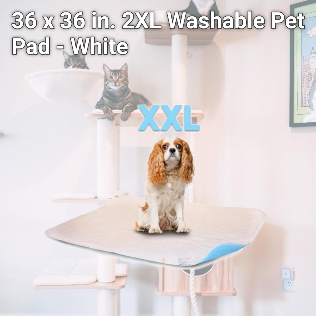 Picture of Lennypads 3636LP 36 x 36 in. 2XL Washable Pet Pad - White