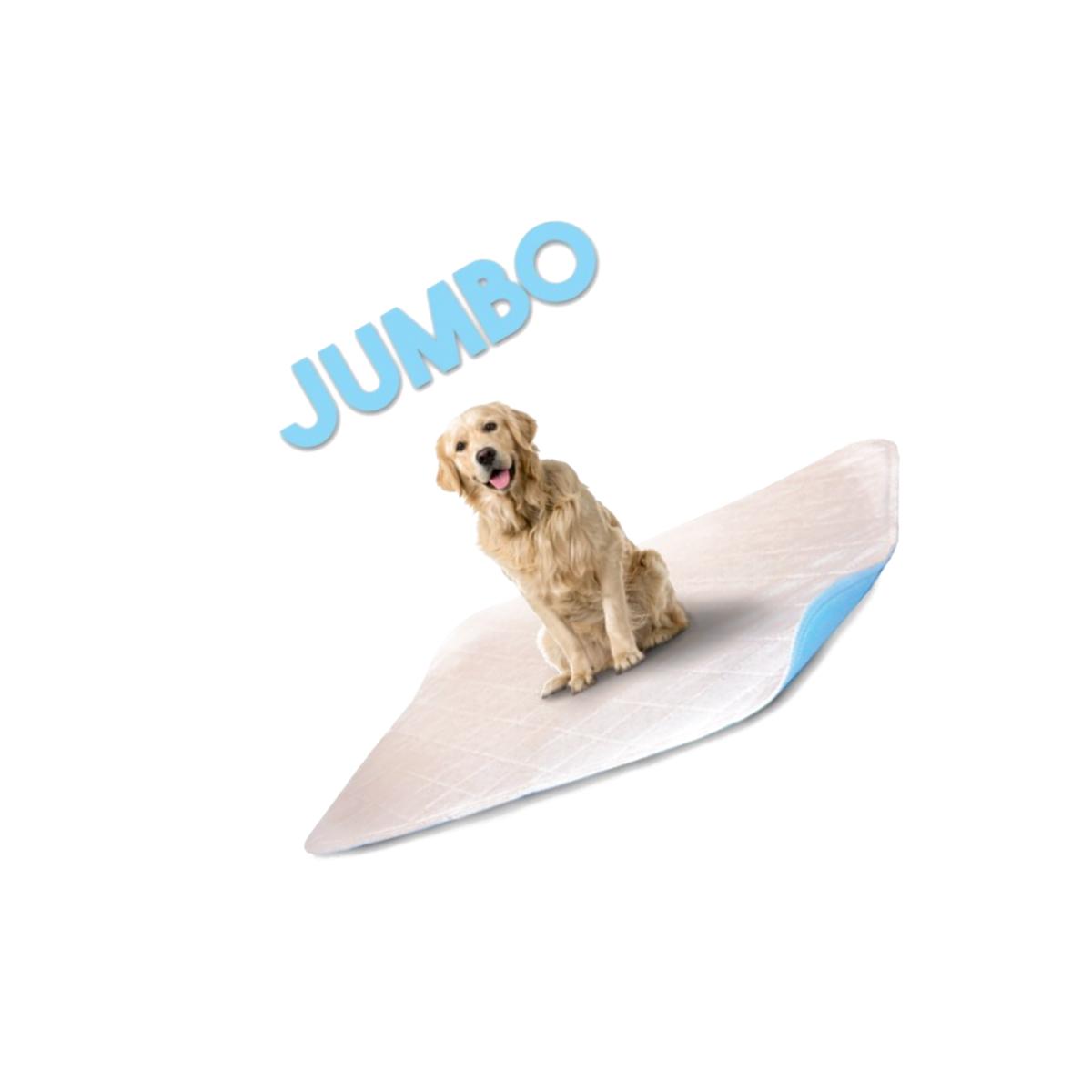 Picture of Lennypads 4848LP 48 x 48 in. Jumbo Washable Pet Pad - White