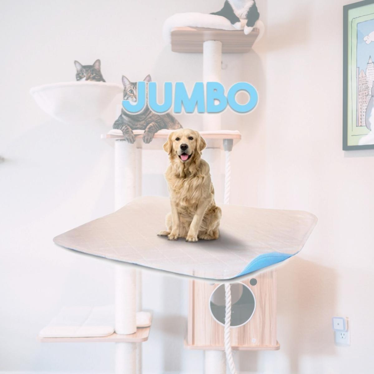 Picture of Lennypads 4848LP 48 x 48 in. Jumbo Washable Pet Pad - White
