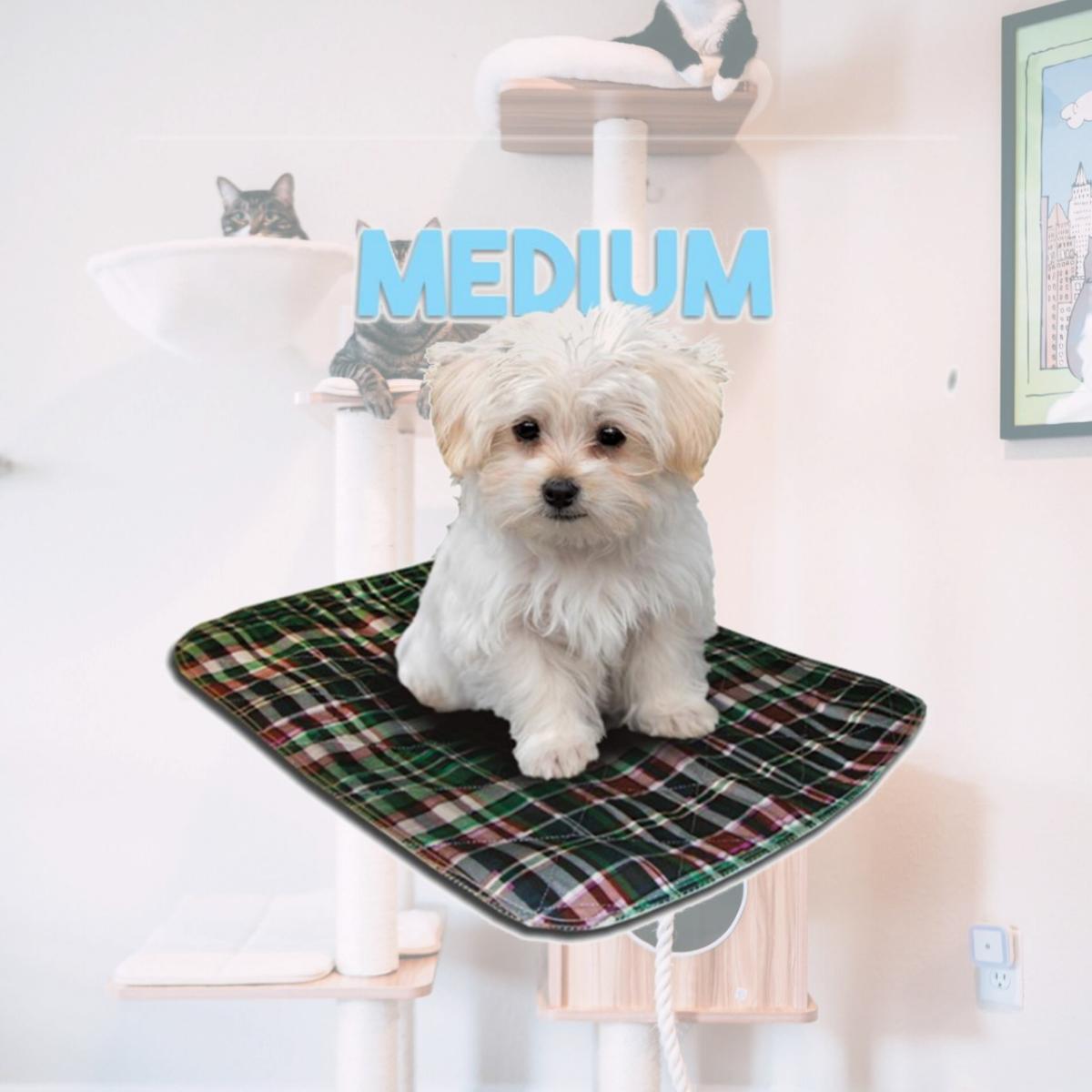 Picture of Lennypads 1824LPG 18 x 24 in. Medium Washable Pet Pad - Green Plaid