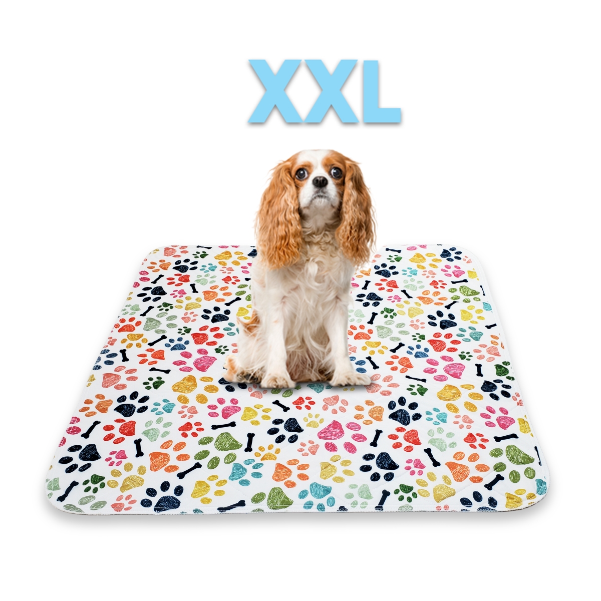 3636DLPC  Designer Washable Potty Pad XXL 36' x 36' Multi Color Paw Print