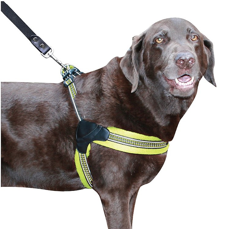 Picture of Sporn YU20063 Easy Fit Dog Harness - Yellow
