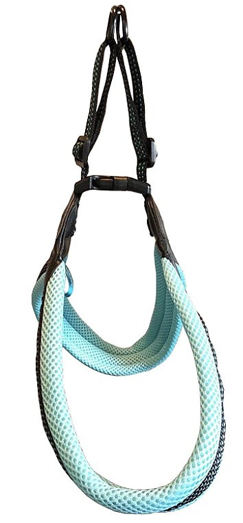 Picture of Sporn YU20065 Easy Fit Dog Harness - Blue