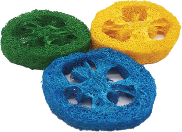 Picture of AE Cage AE00971 Nibbles Loofah Slice Chew Toy - 3 Count
