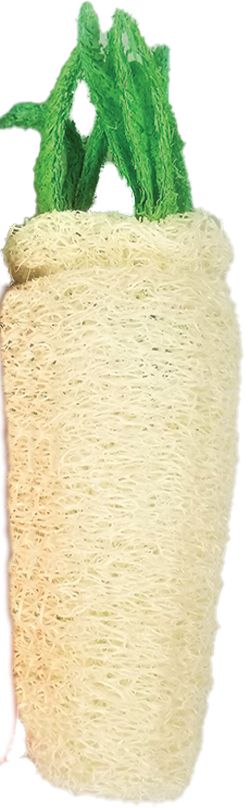 Picture of AE Cage AE00975 Nibbles Daikon Loofah Chew Toy - Large