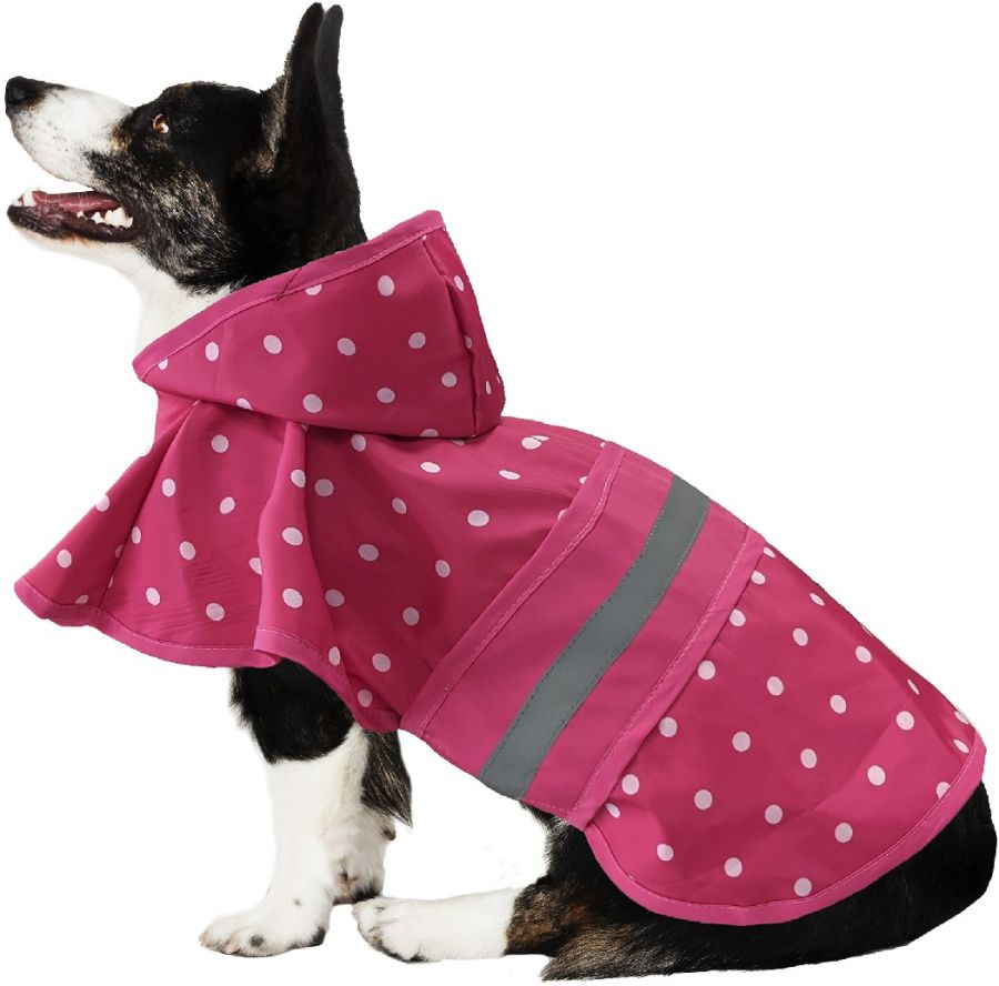 Picture of Fashion Pet ST02748 Polka Dot Dog Raincoat&#44; Pink - Large