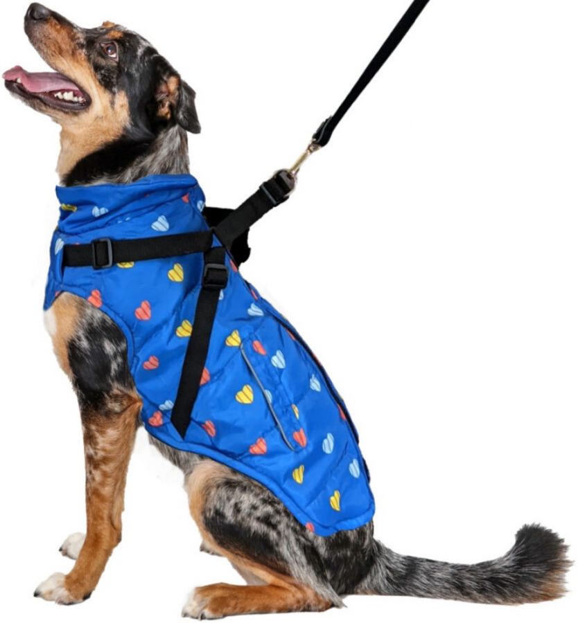 Picture of Fashion Pet ST02790 Puffy Heart Harness Coat, Blue - Extra Small