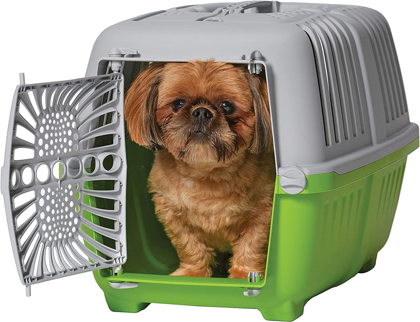 Picture of Mid West HY02496 Spree Plastic Door Travel Carrier Pet Kennel&#44; Green - Small