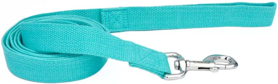Picture of Coastal Pet 14406MIN 6 ft. x 0.62 in. New Earth Soy Dog Lead, Mint Green