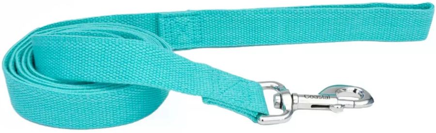 Picture of Coastal Pet 14906MIN 6 ft. x 1 in. New Earth Soy Dog Lead, Mint Green