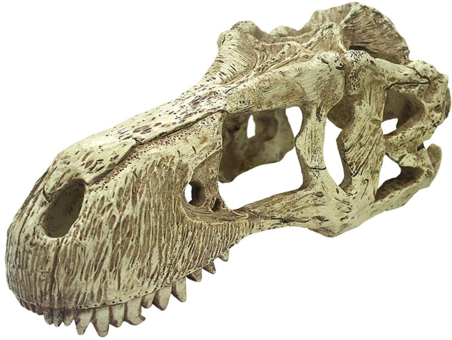 Picture of Komodo KO93216 Reptile T-Rex Skull Terrarium Decoration - Extra Large