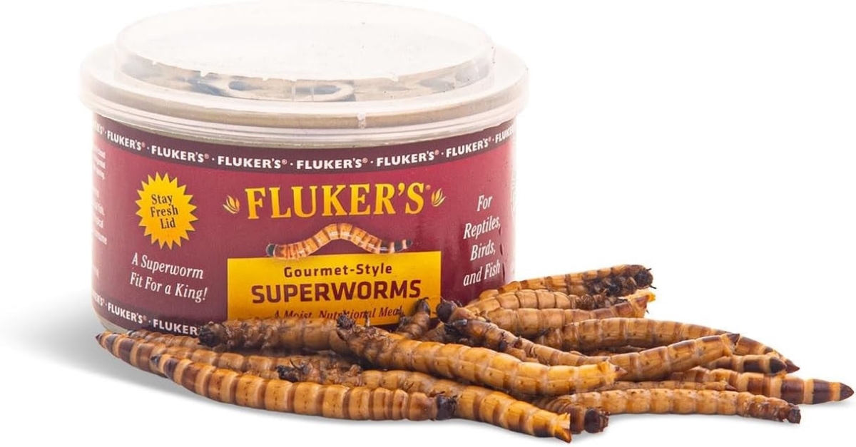 Picture of Flukers FK78006 Gourmet Canned Superworms for Reptiles