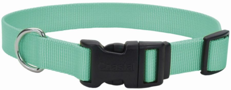 Picture of Coastal Pet 6301TEL 8 - 12 x 0.375 in. Teal Nylon Tuff Dog Collar with Plastic Buckle