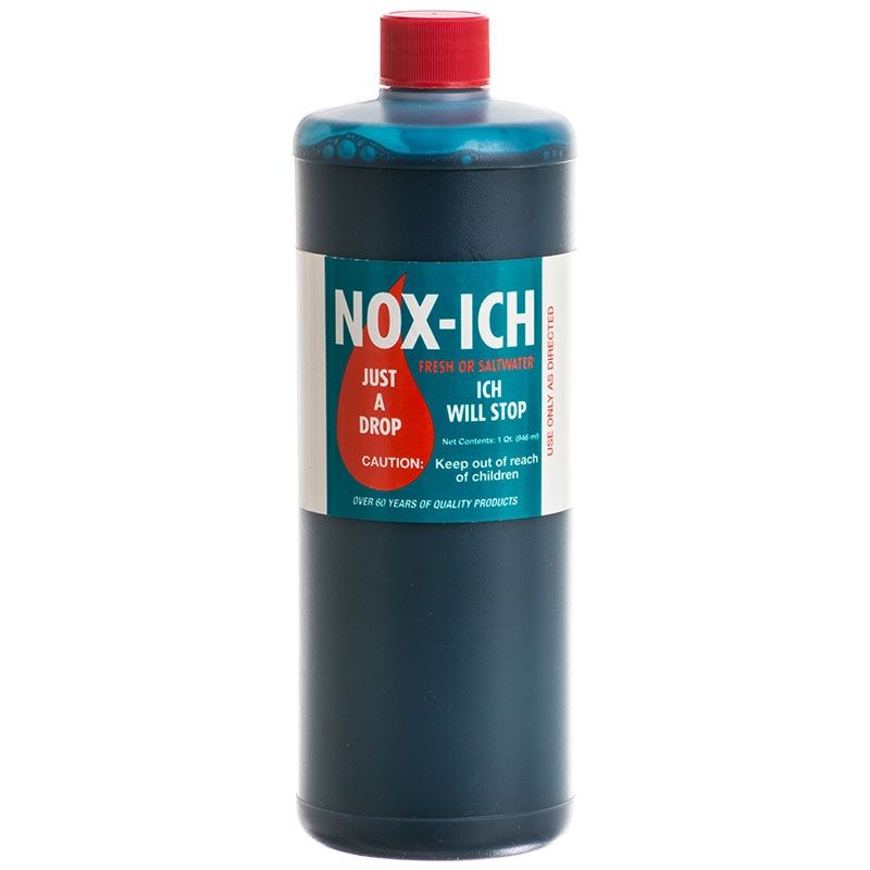 20032 1 qt Nox Ich