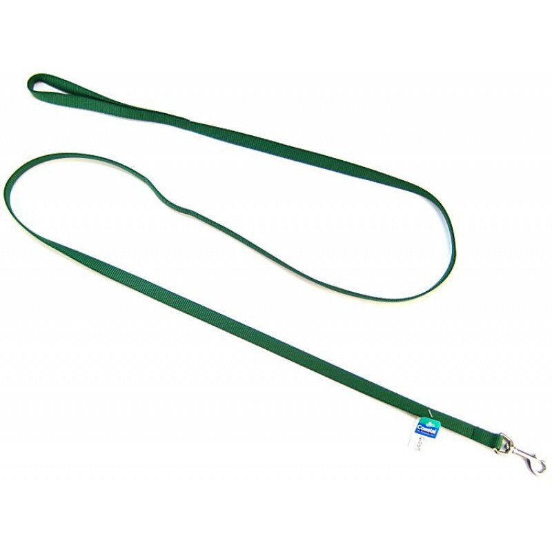Picture of Coastal Pet 406HG 6 ft. x 0.625 in. Dog Nylon Lead - Hunter Green