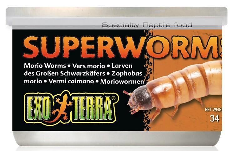 Picture of Exo-Terra XPT1964 1.2 oz Canned Superworms Specialty Reptile Food