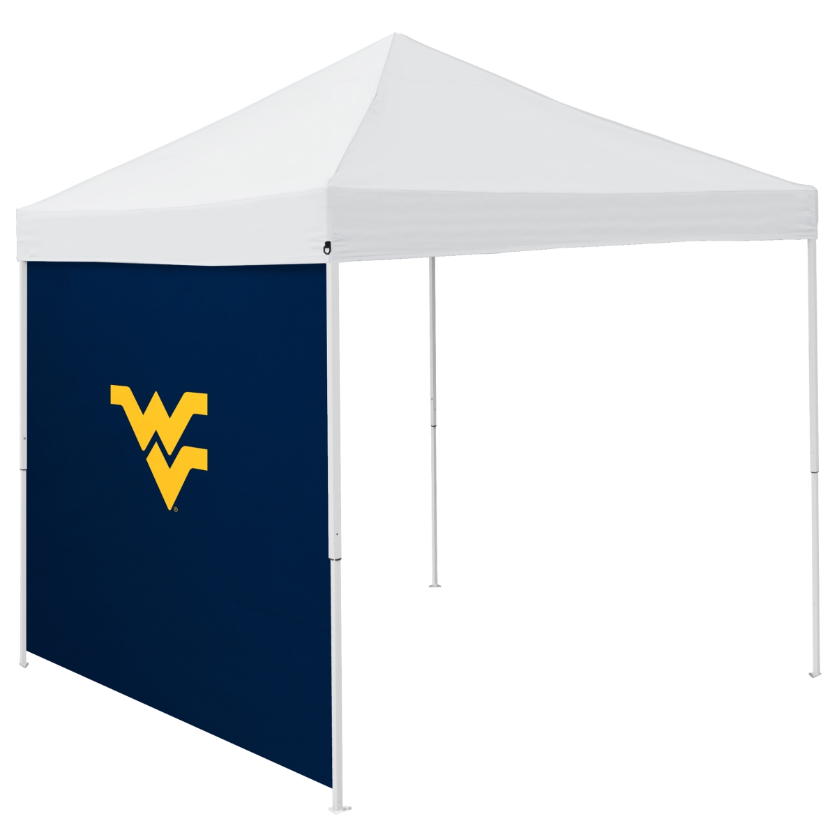 239-48 West Virginia 9 x 9 in. Side Panel