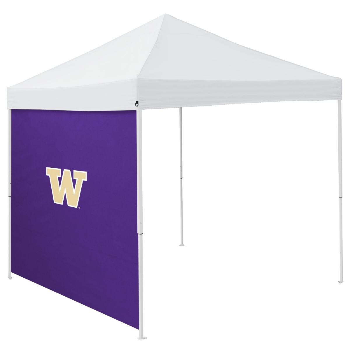 237-48 Washington 9 x 9 in. Side Panel