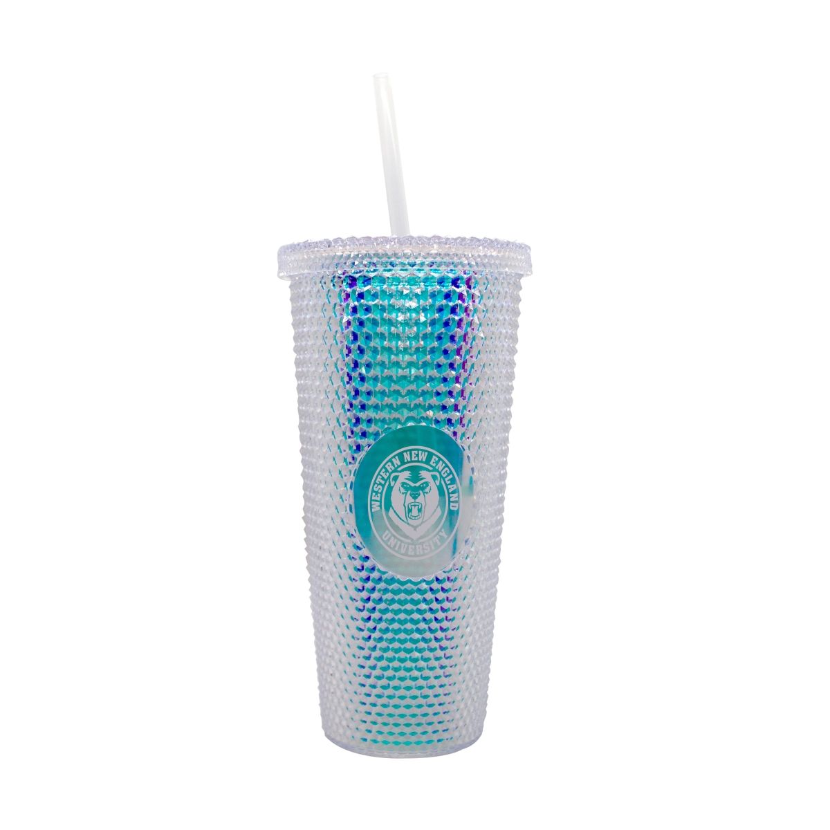 547-P24IST WNE 24 oz Iridescent Studded Tumbler