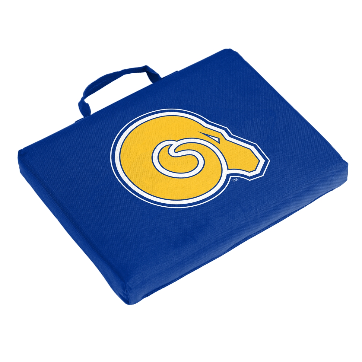 197-71B Albany State Bleacher Cushion