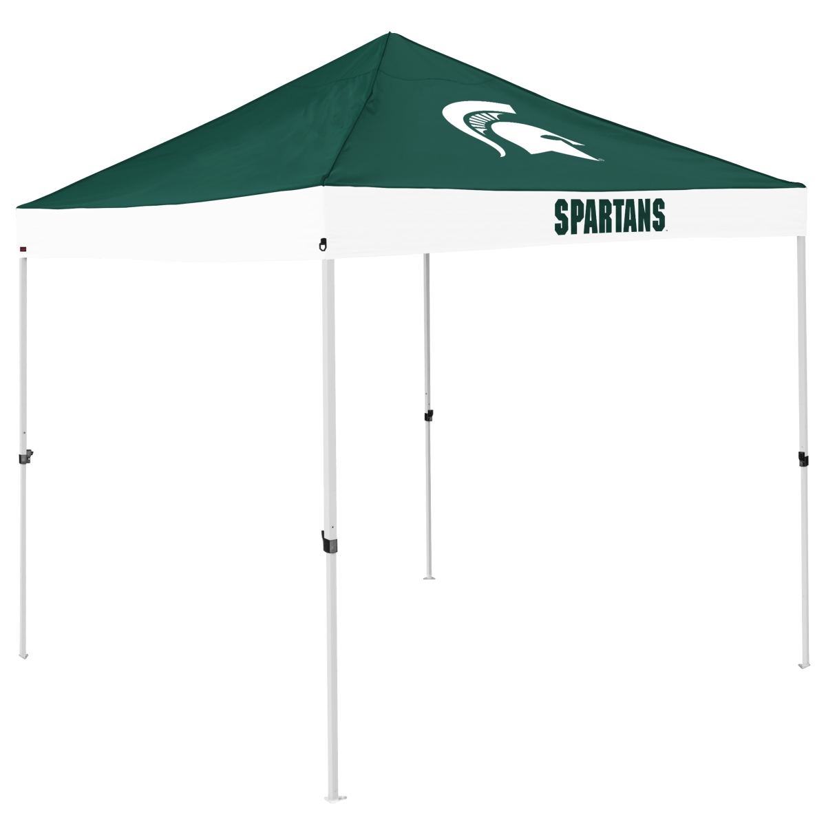 172-39E MI State Economy Canopy