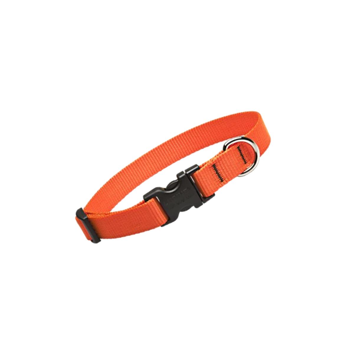 Picture of Lupine 52502 .75 in. Blaze Orange 13 in. -22 in. Adj. Collar