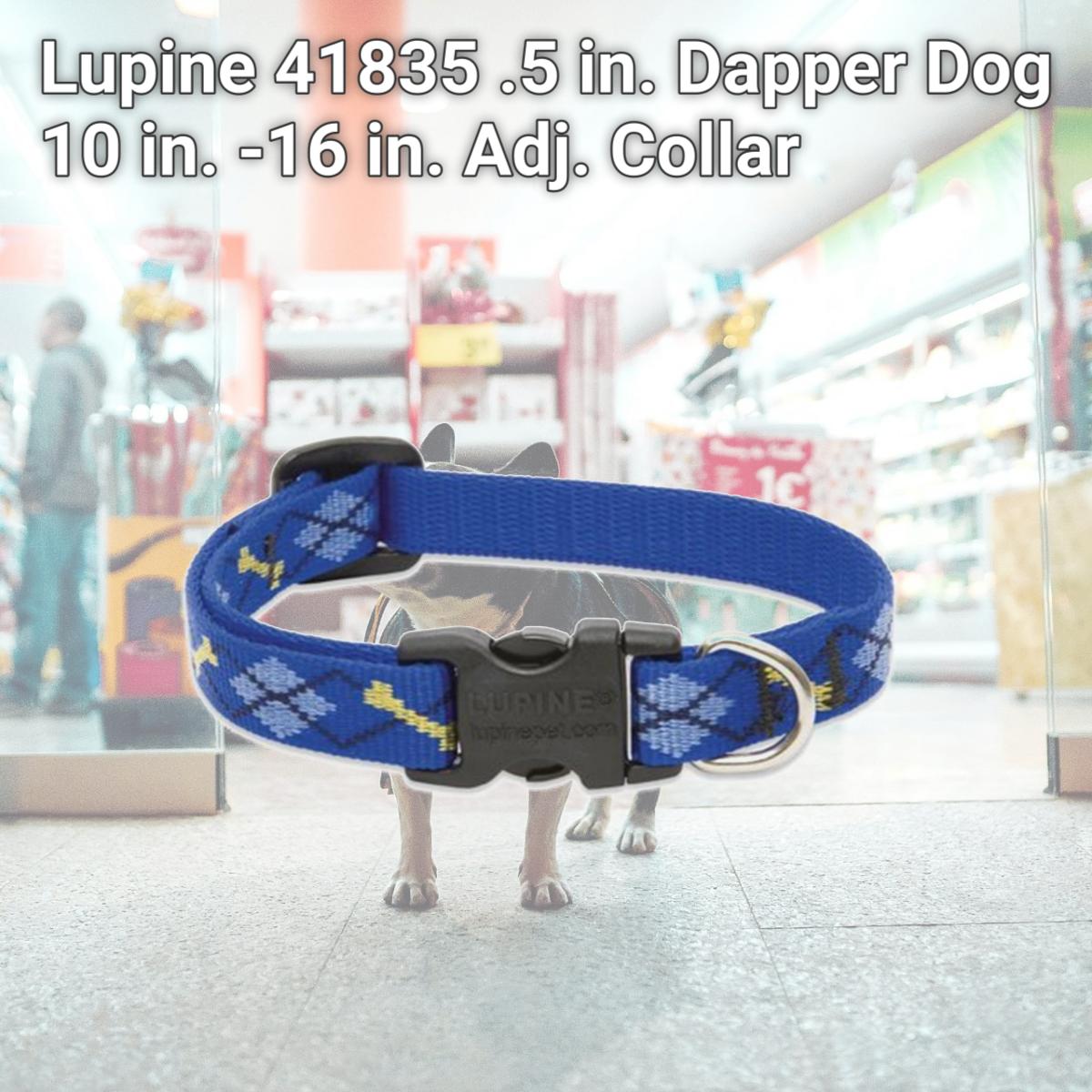 Picture of Lupine 41835 .5 in. Dapper Dog 10 in. -16 in. Adj. Collar