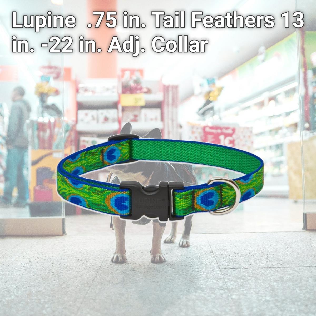 Picture of Lupine 32602 .75 in. Tail Feathers 13 in. -22 in. Adj. Collar