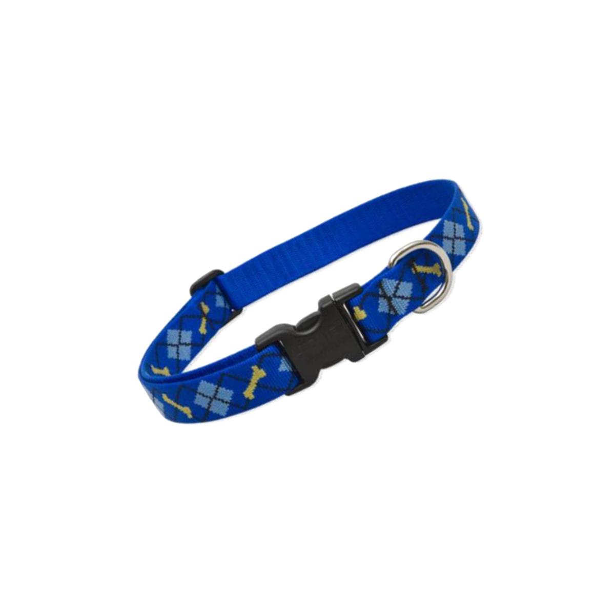 Picture of Lupine 41852 1 in. Dapper Dog 12 in. - 20 in. Adjustable Dog Collar
