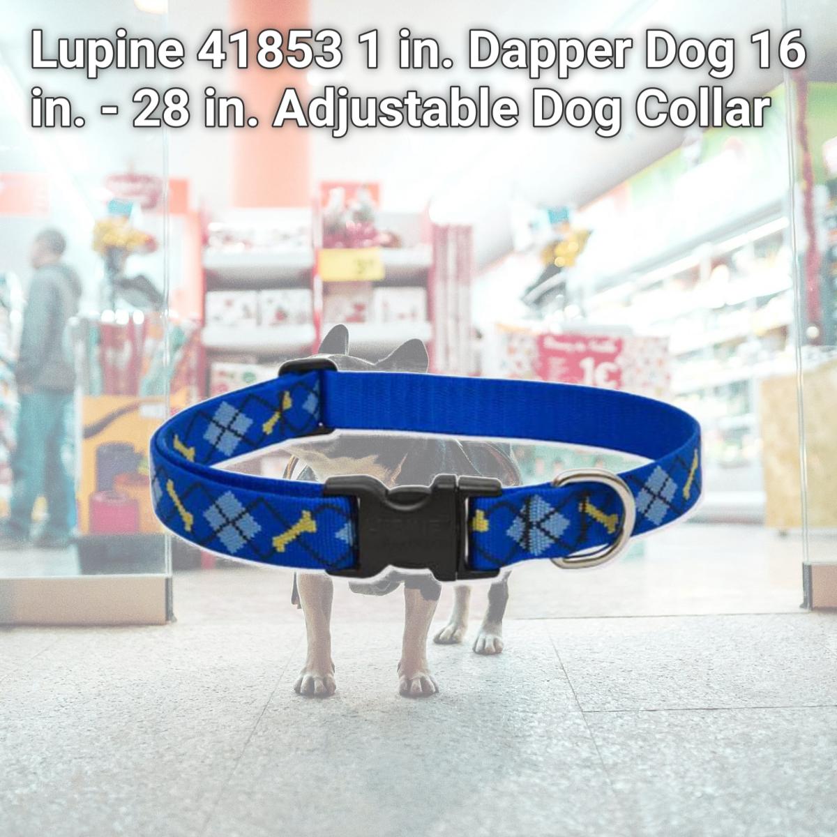 Picture of Lupine 41853 1 in. Dapper Dog 16 in. - 28 in. Adjustable Dog Collar