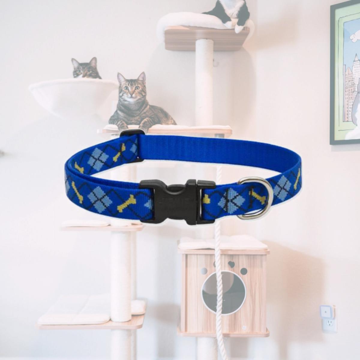 Picture of Lupine 41853 1 in. Dapper Dog 16 in. - 28 in. Adjustable Dog Collar