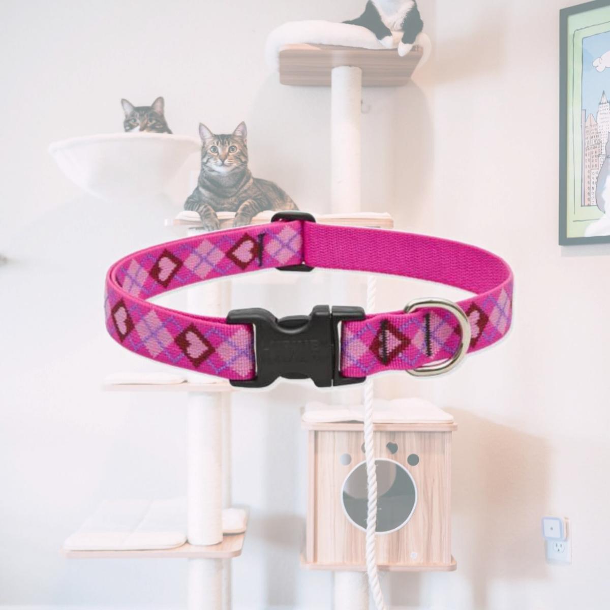 Picture of Lupine 14253 1 in. Puppy Love 16 in. - 28 in. Adjustable Dog Collar