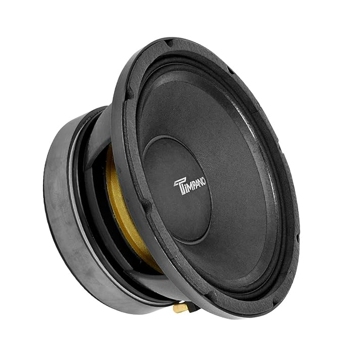 TPT-MD10 10 in. Pro Midrange Loudspeaker - 8 Ohm