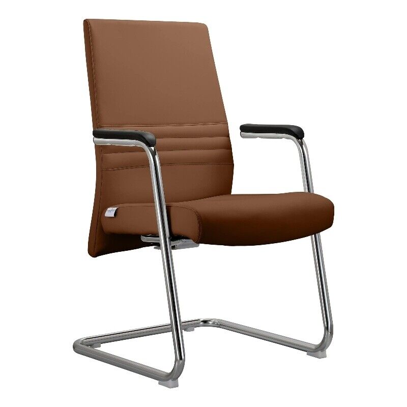 AGO19DBRL 38.58 x 22.83 x 23.62 in. Aleen Series Guest Office Chair with Leather, Dark Brown