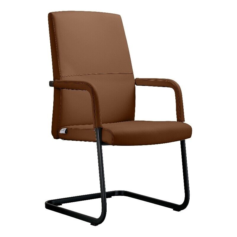 EGO23DBRL 38.58 x 21.25 x 25.6 in. Evander Office Guest Chair with Leather, Dark Brown